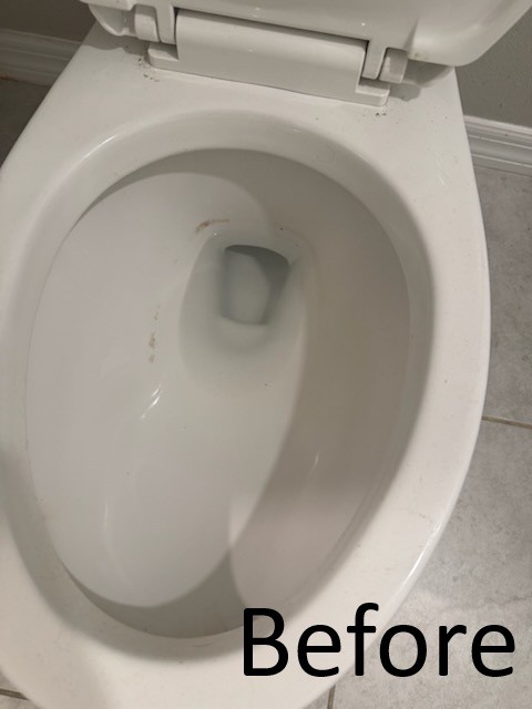 Dirty toilet before move out cleaning service in Tampa FL