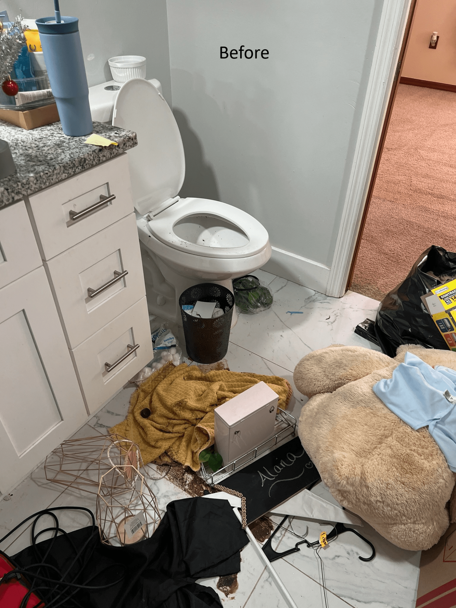 Cluttered and dirty bathroom before professional move out cleaning in Tampa FL