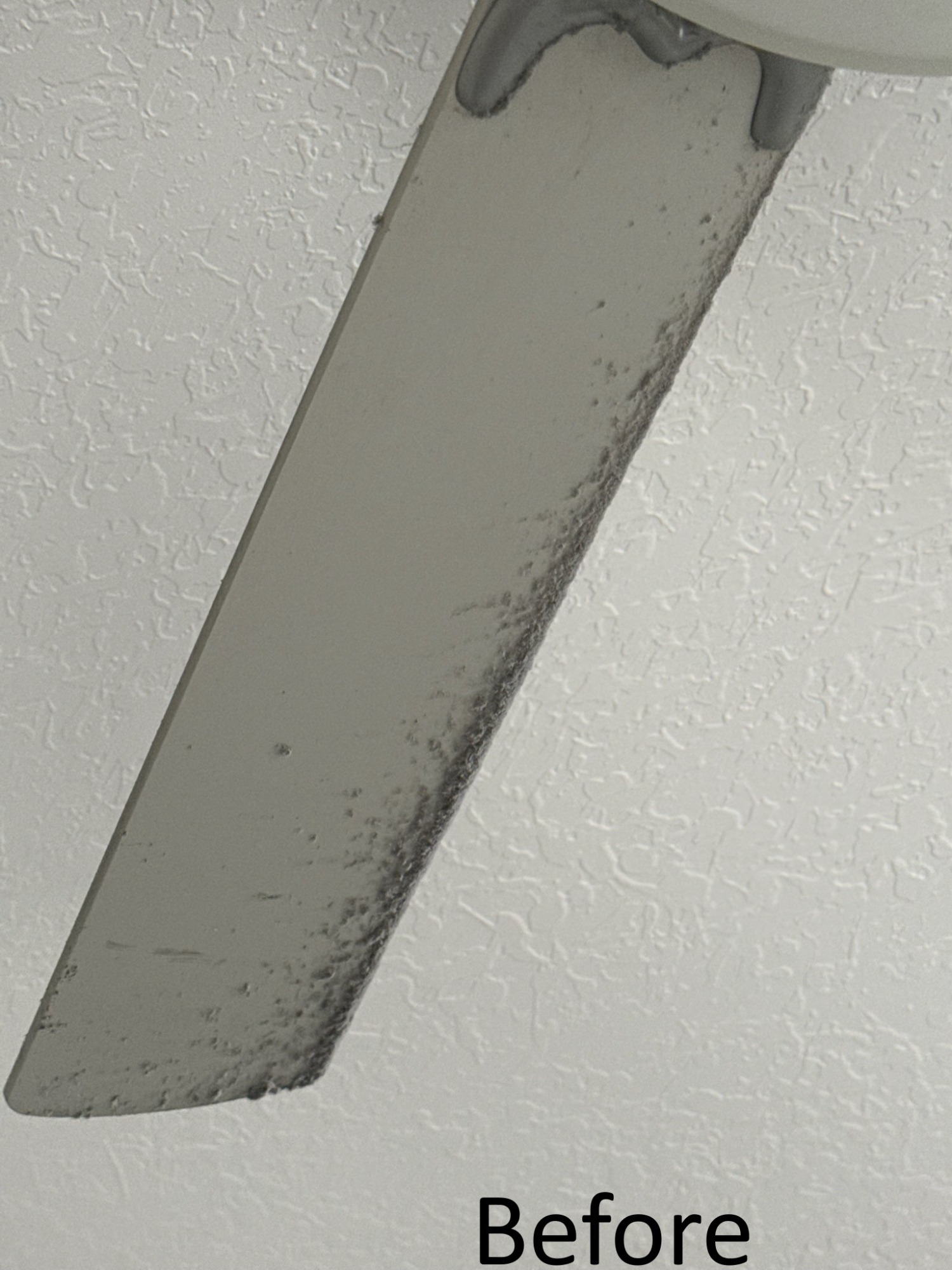 Dusty ceiling fan before professional move out cleaning service in Tampa FL