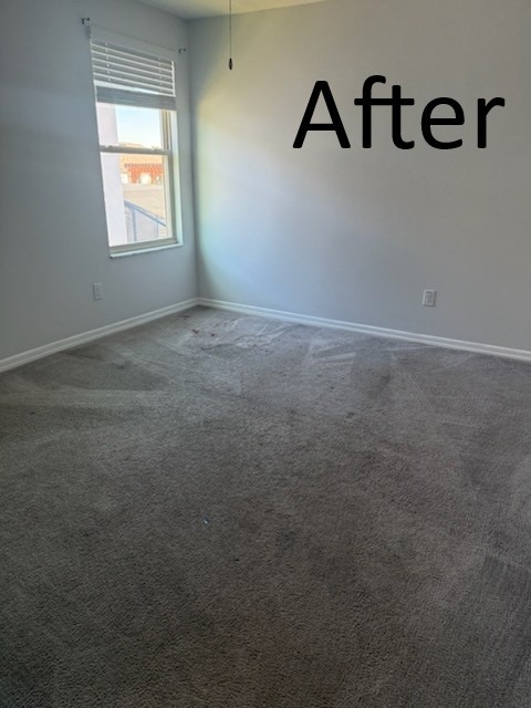 Freshly cleaned carpet after professional move out cleaning service in Tampa FL
