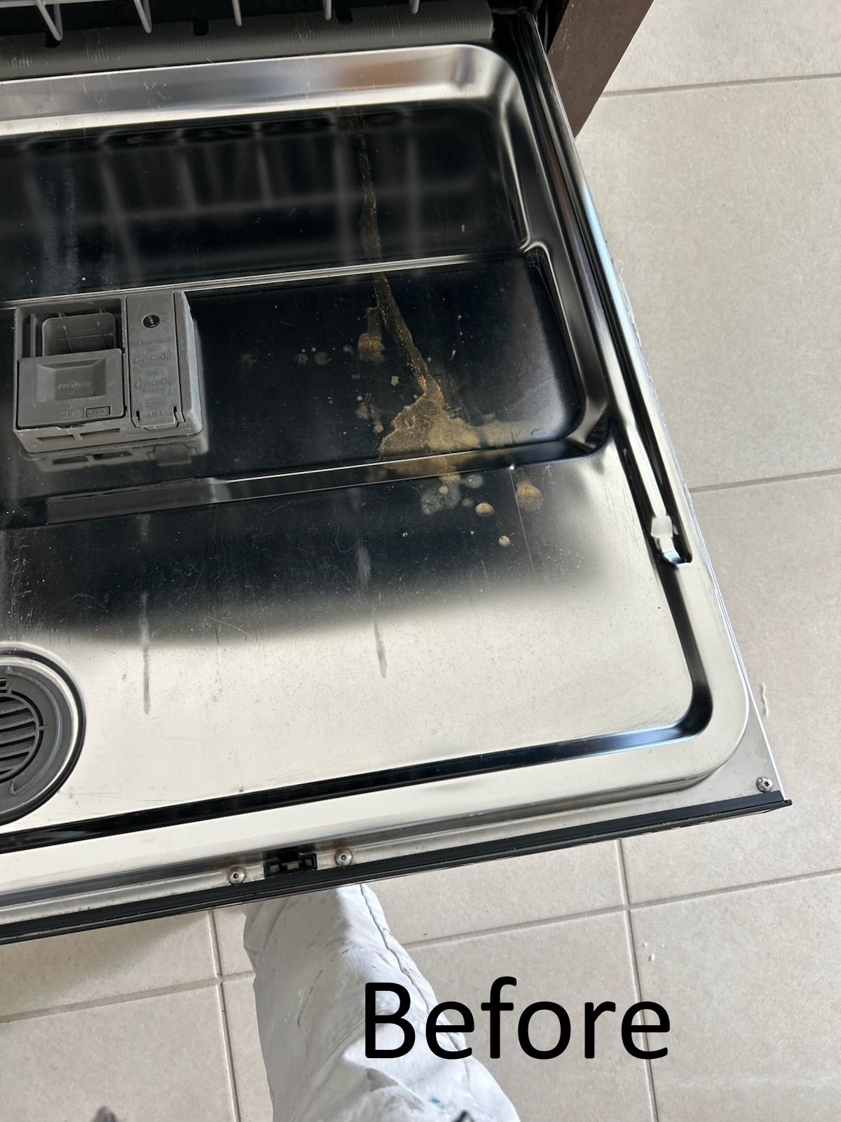 Dirty dishwasher interior with food residue and buildup before professional move out cleaning in Wesley Chapel FL