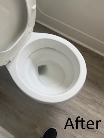 Toilet disinfected and polished after professional house cleaning in Wesley Chapel