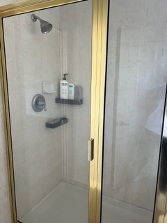 Shower cleaned and scrubbed with tile and glass shining after professional house cleaning in Wesley Chapel