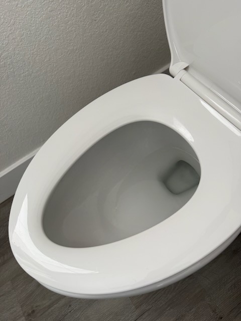 Sanitized and sparkling clean toilet after professional house cleaning in Carrollwood