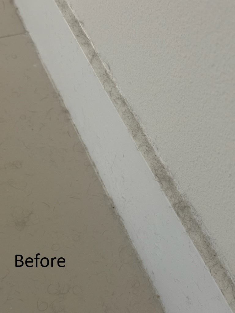 Baseboard with dog hair before deep cleaning Tampa