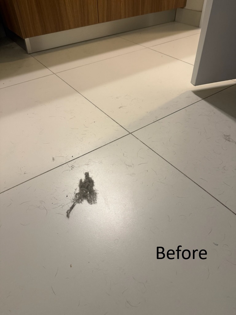 Bathroom floor with dog hair before deep cleaning Tampa