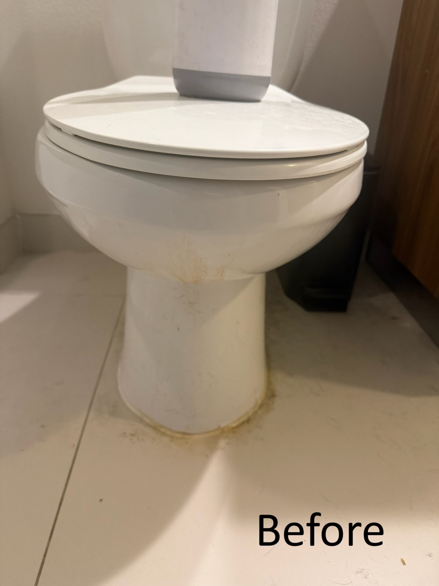 Before deep cleaning toilet in Tampa home