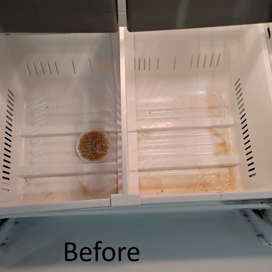 Dirty freezer prior to deep cleaning in Tampa
