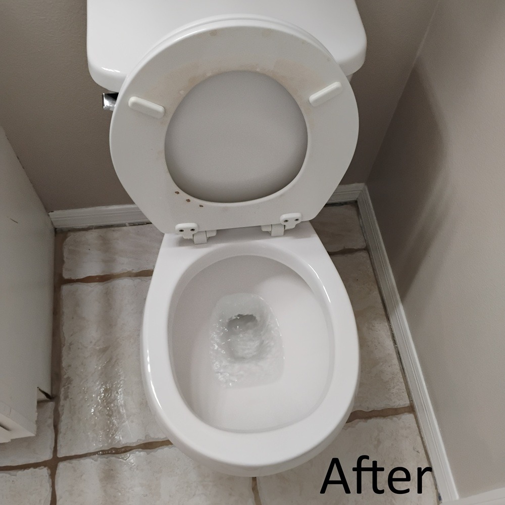 Clean toilet after hard water stains have been removed as part of move out cleaning service in Tampa, FL