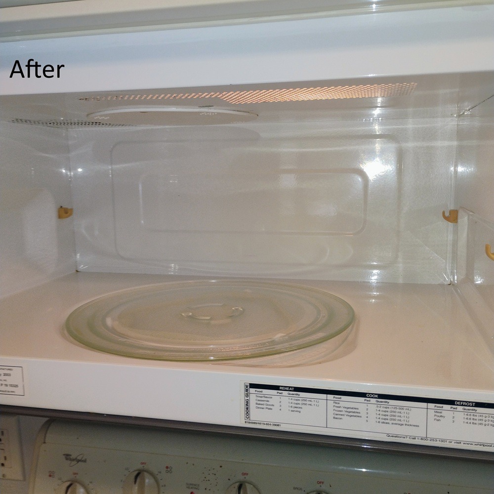 Clean microwave after move out cleaning in Tampa, FL