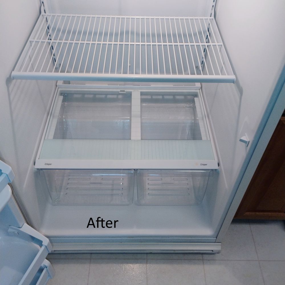 Clean refrigerator after move out cleaning in Tampa, FL