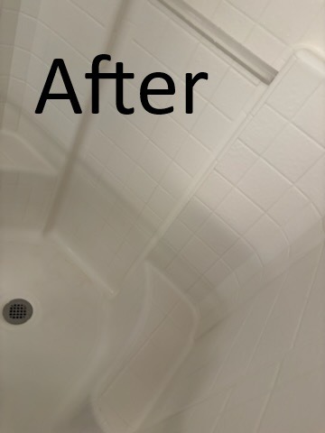 Clean Tampa apartment shower free of soap scum and hard water stains after professional cleaning