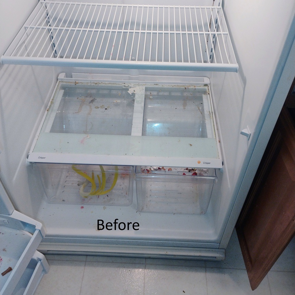 Dirty refrigerator before move out cleaning in Tampa, FL